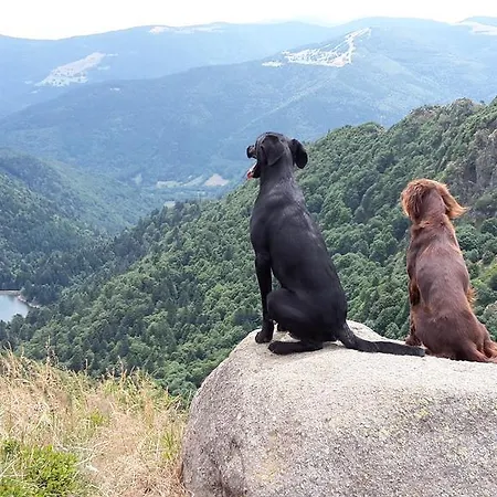 Chambre&table D'hotes Ptitmonde Bed & Breakfast 3*