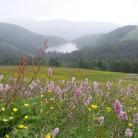 Chambre&table D'hotes Ptitmonde 3*