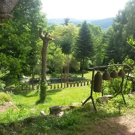 Chambre&table D'hotes Ptitmonde 3* Ban-sur-Meurthe-Clefcy