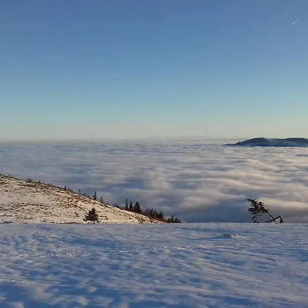 Chambre&table D'hotes Ptitmonde Bed & Breakfast Ban-sur-Meurthe-Clefcy