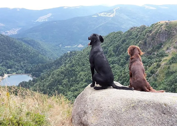 Chambre&table D'hotes Ptitmonde ベッド・アンド・ブレックファスト 3*