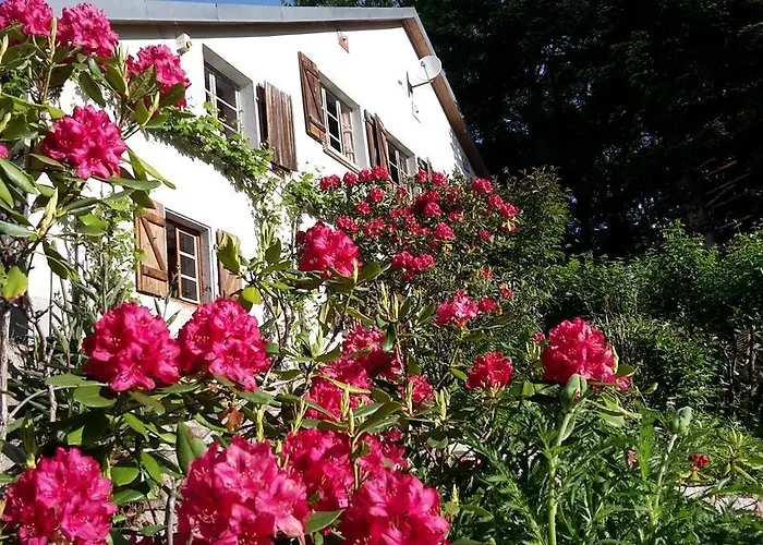 Chambre&table D'hotes Ptitmonde 3* Ban-sur-Meurthe-Clefcy