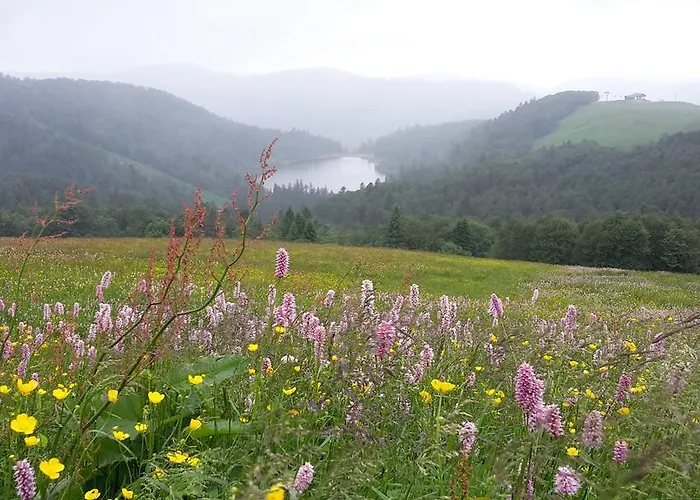 Chambre&table D'hotes Ptitmonde 3*