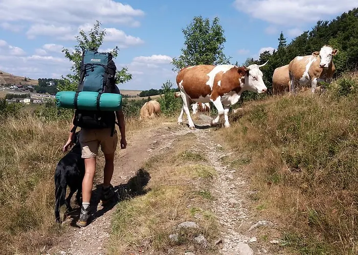 Chambre&table D'hotes Ptitmonde 3* Ban-sur-Meurthe-Clefcy