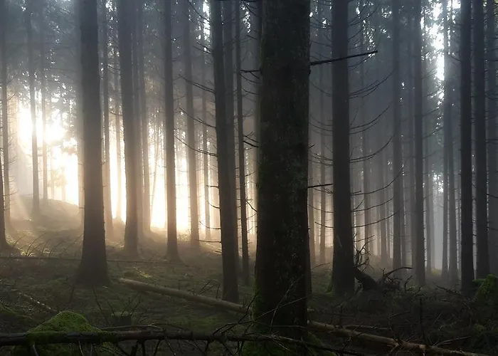 Chambre&table D'hotes Ptitmonde 3* Ban-sur-Meurthe-Clefcy