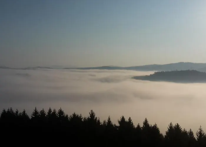 Chambre&table D'hotes Ptitmonde ベッド・アンド・ブレックファスト Ban-sur-Meurthe-Clefcy