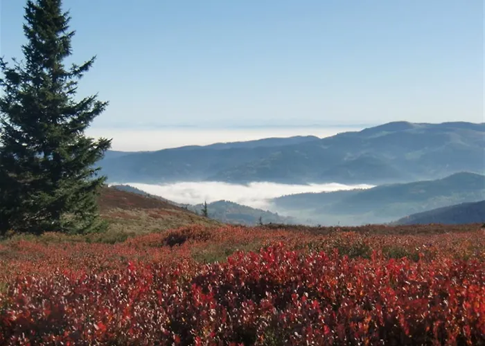 Chambre&table D'hotes Ptitmonde 3* Ban-sur-Meurthe-Clefcy