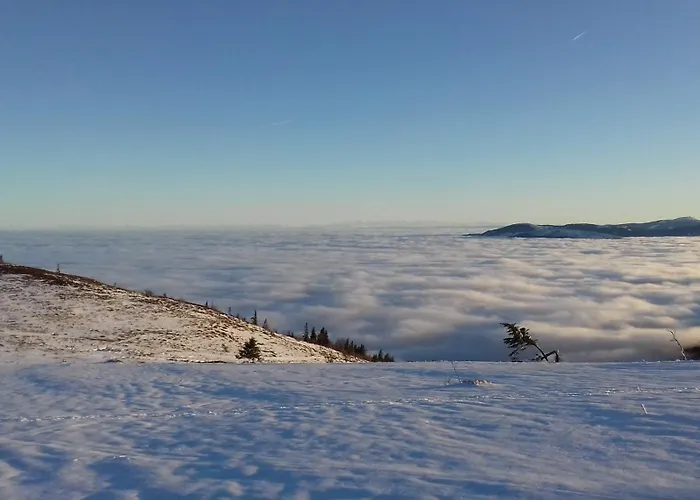 Chambre&table D'hotes Ptitmonde ベッド・アンド・ブレックファスト Ban-sur-Meurthe-Clefcy