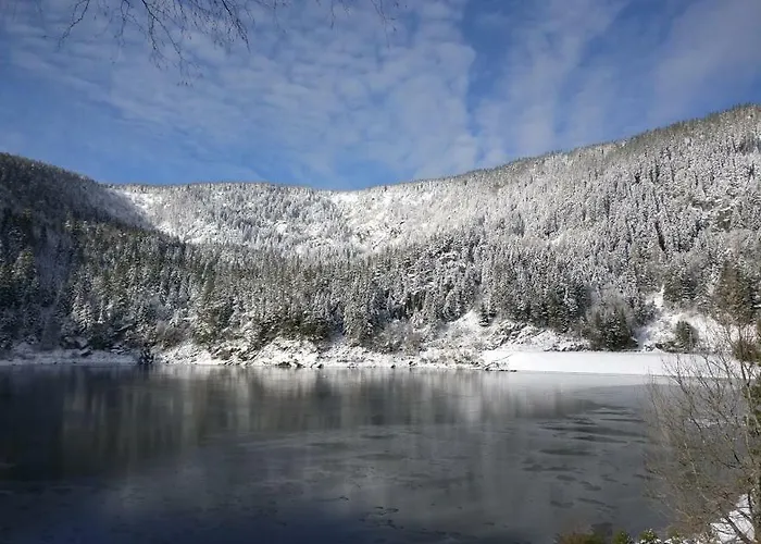 Chambre&table D'hotes Ptitmonde 3* Ban-sur-Meurthe-Clefcy