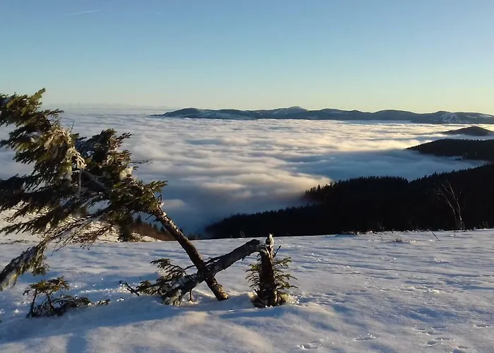 ベッド・アンド・ブレックファスト Chambre&table D'hotes Ptitmonde 3*